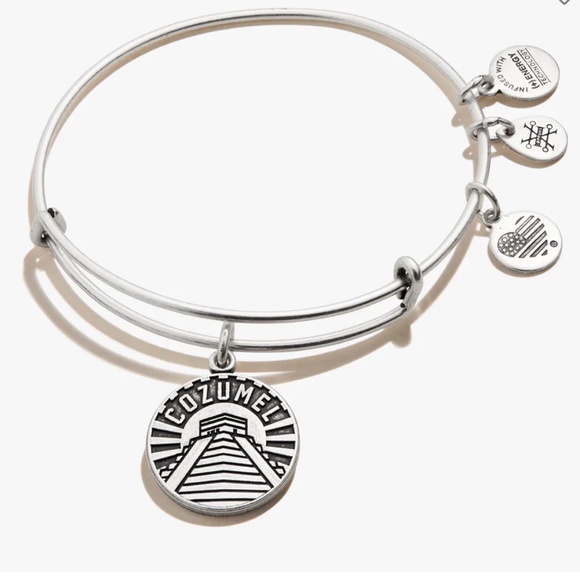 Alex and Ani Cozumel Charm Bangle - Picture 1 of 3